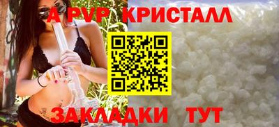 шишки Кингисепп