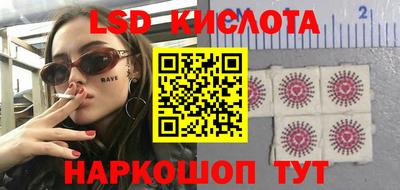 шишки Кингисепп