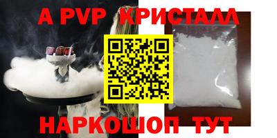 шишки Кингисепп