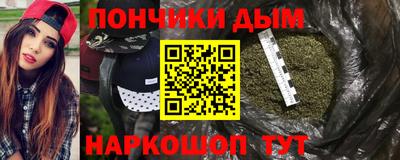шишки Кингисепп