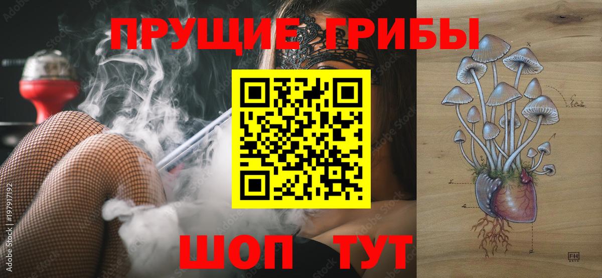 Псилоцибиновые грибы Psilocybe  Вход с VPN  купить   Кувандык 