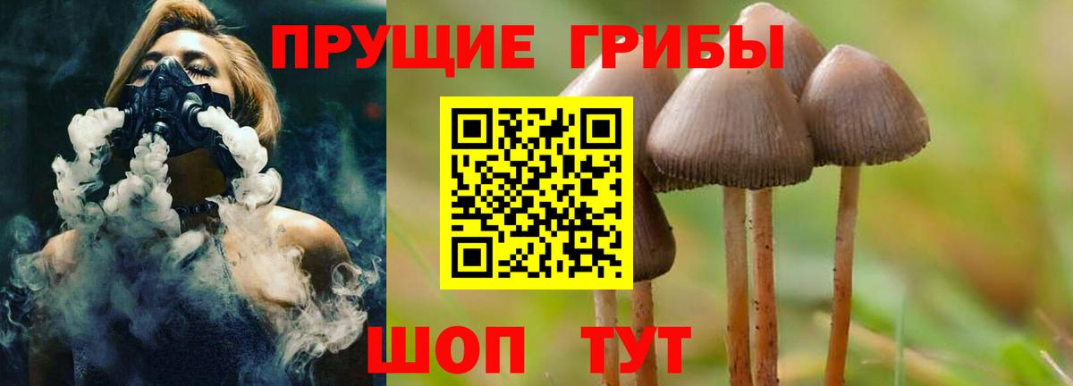 Псилоцибиновые грибы GOLDEN TEACHER Кувандык